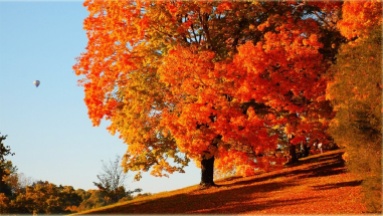 colori_d_autunno
